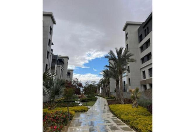 66701575 - Property Image 2