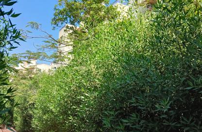 Apartment - 2 - 1 for rent in Al Mostakbal - 12th District - Sheikh Zayed City - Giza