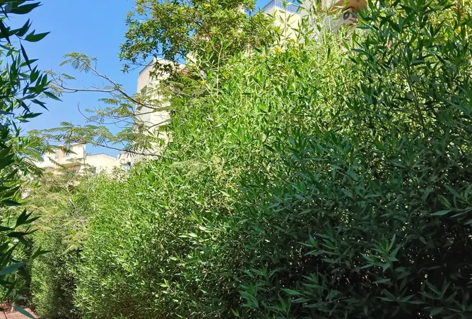 112969114 - Property Image 3
