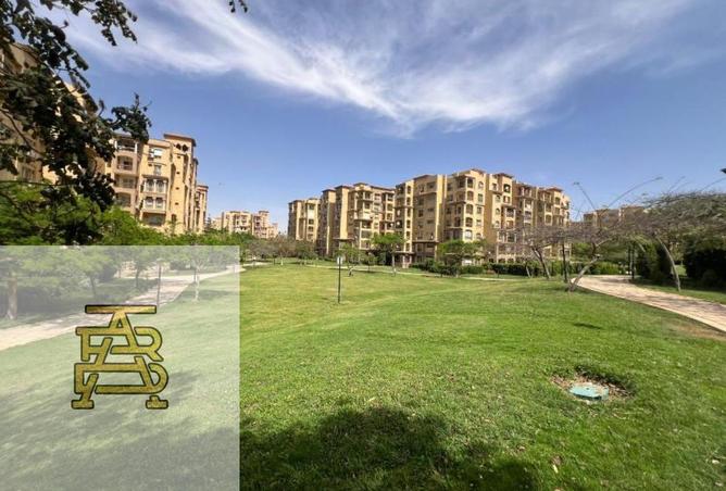 64635530 - Property Image 3