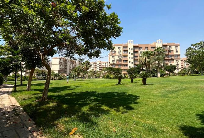 93531736 - Property Image 2