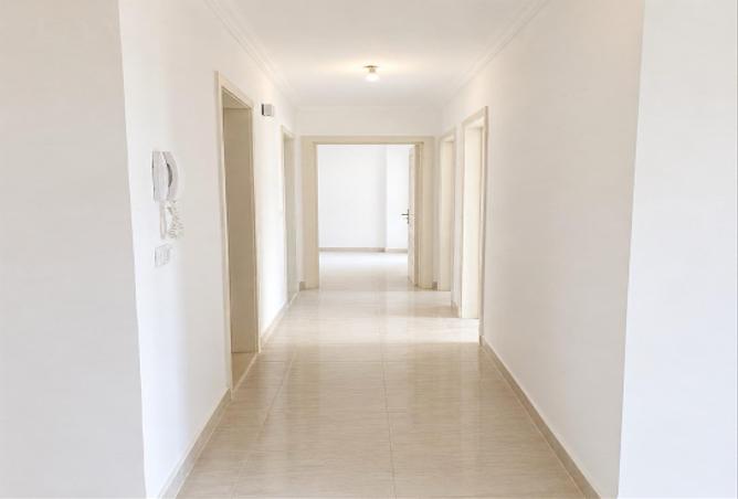 78664691 - Property Image 3