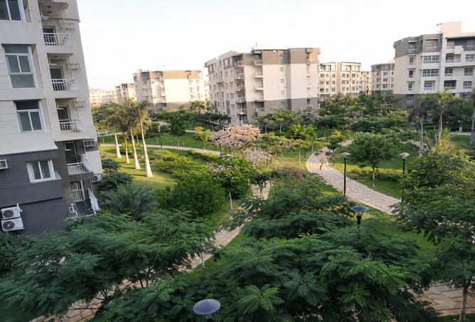 78664691 - Property Main Image