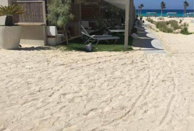 61448994 - صورة العقار 2