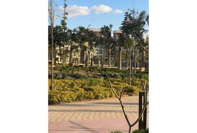 109919034 - Property Image 3