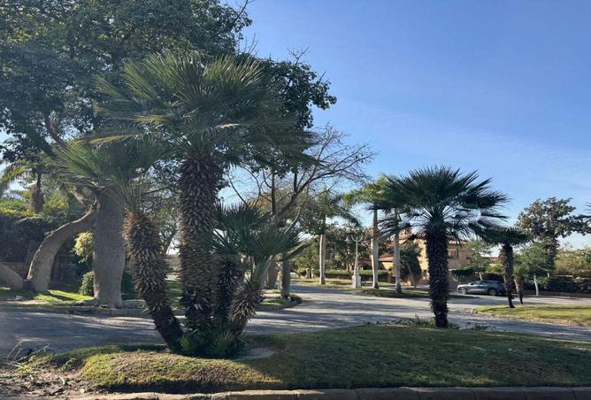 8573209 - صورة العقار 2