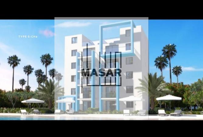 71646995 - Property Image 3