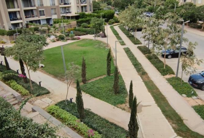 8480541 - صورة العقار 2