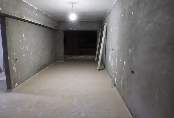 113543917 - Property Image 3