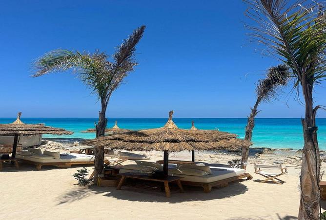 59743897 - صورة العقار 3