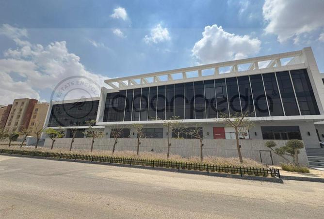 58987055 - الصورة الرئيسية للعقار