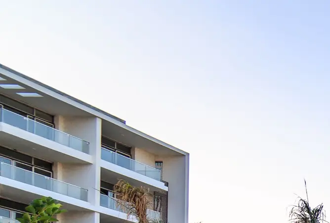 101479705 - Property Image 3