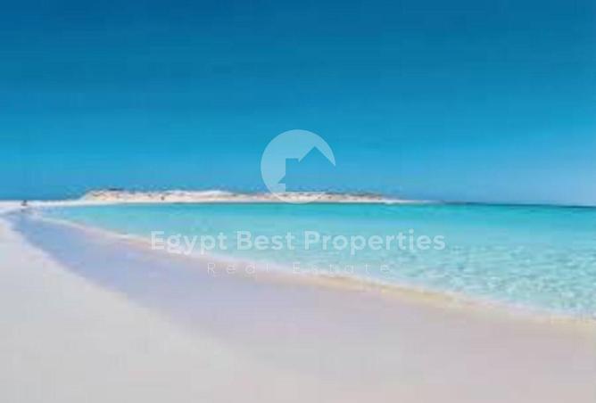 71656357 - صورة العقار 3