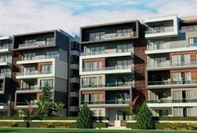 54754428 - Property Image 3