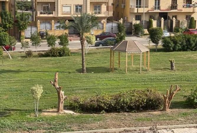 8411399 - صورة العقار 3