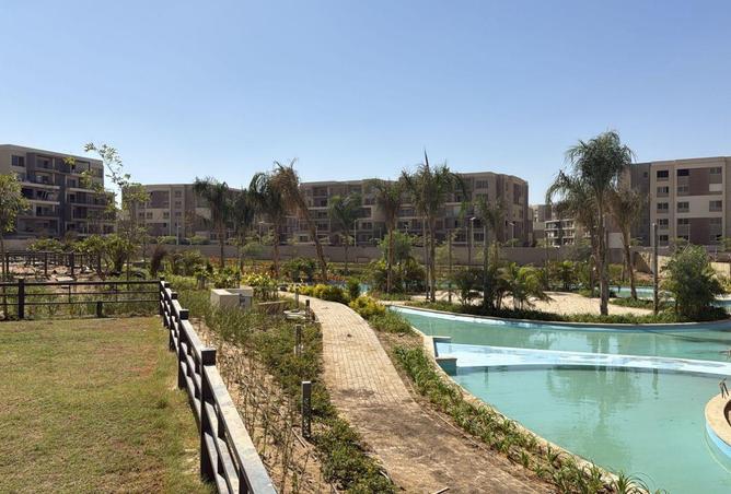 61686287 - Property Image 3