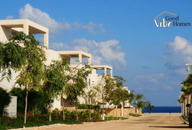 8533699 - صورة العقار 3