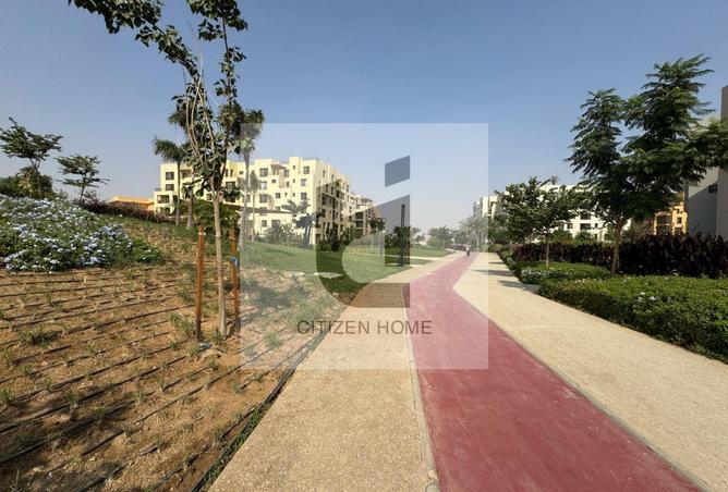85326504 - Property Image 2