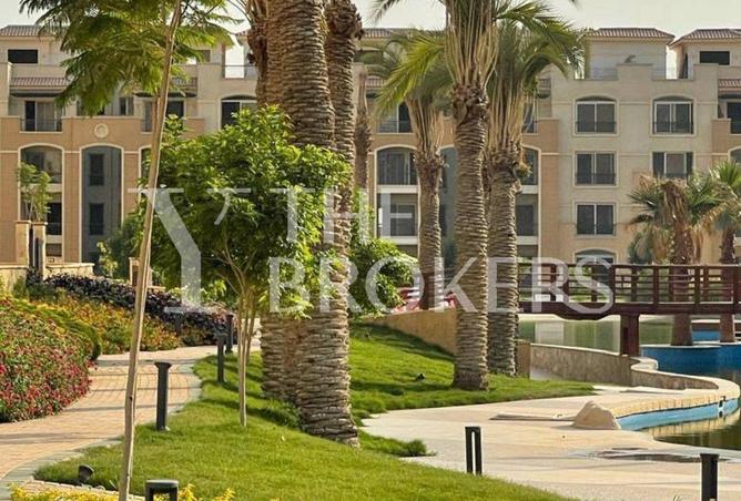 52722978 - صورة العقار 3