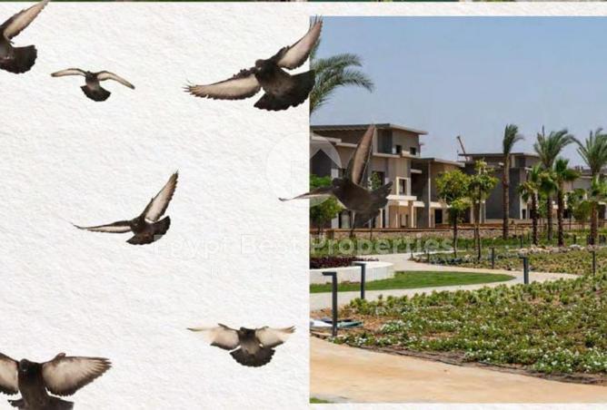 8721083 - صورة العقار 3