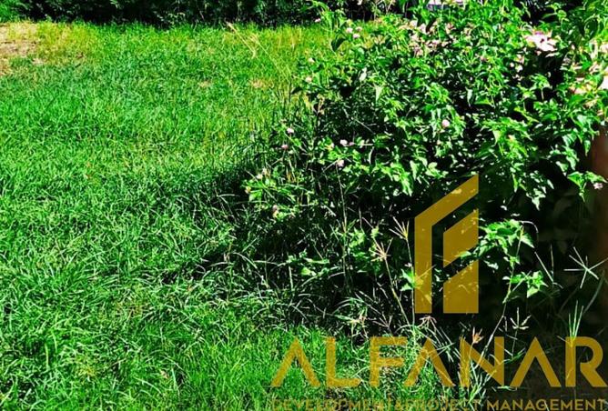 87848944 - صورة العقار 2