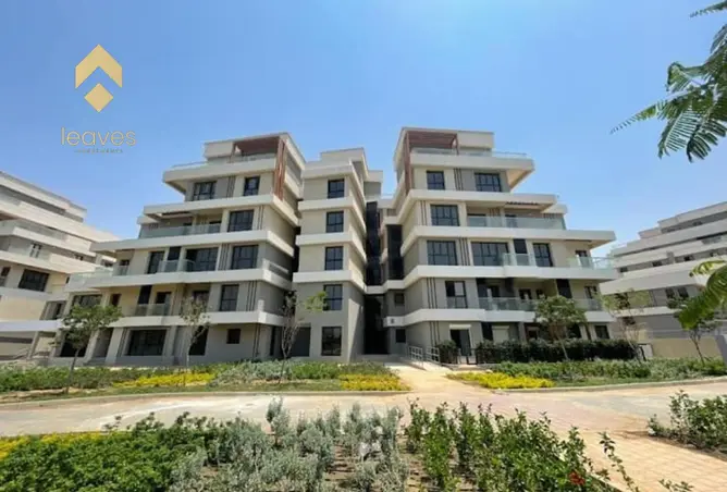 117780381 - Property Image 2