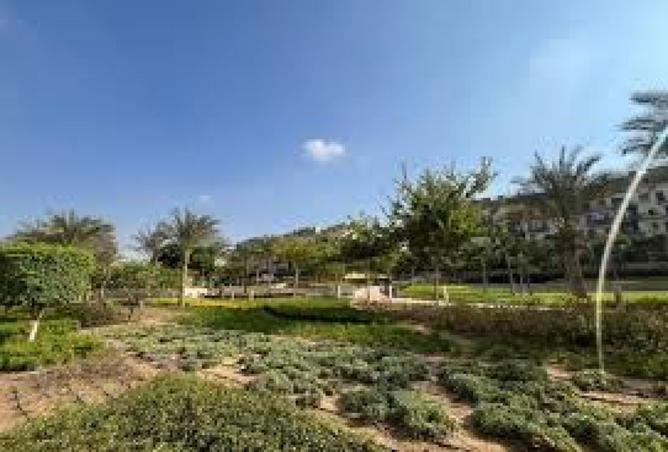 99800381 - Property Main Image
