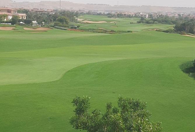 8597479 - Property Image 2