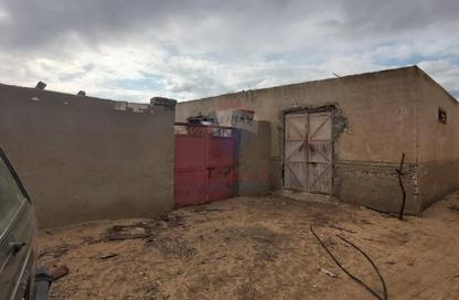 Farm - Studio for sale in Cairo Alexandria Desert Road - 6 October City - Giza