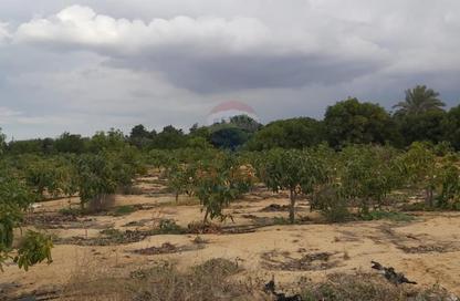 Farm - Studio for sale in Cairo Alexandria Desert Road - 6 October City - Giza