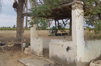 Farm - Studio for sale in Cairo Alexandria Desert Road - 6 October City - Giza