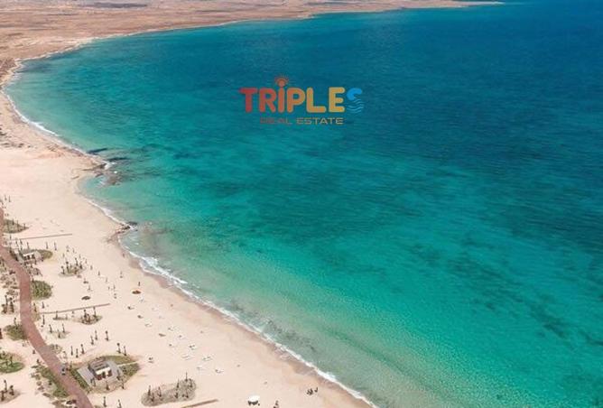72720783 - صورة العقار 2