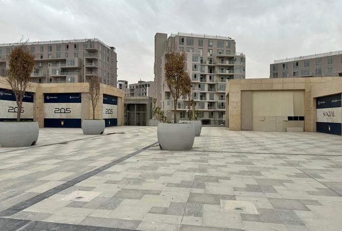 105169624 - صورة العقار 3