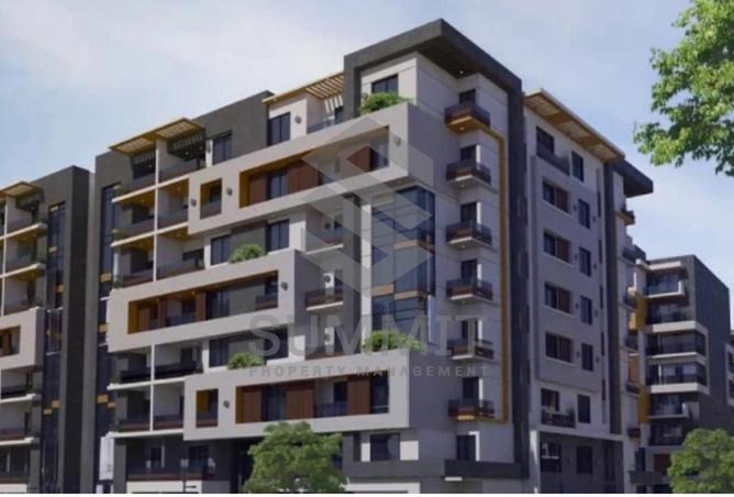 68532382 - Property Image 2