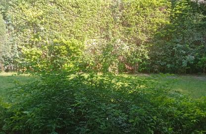 Villa - 6 Bedrooms - 7 Bathrooms for sale in El Rehab Extension - Al Rehab - New Cairo City - Cairo
