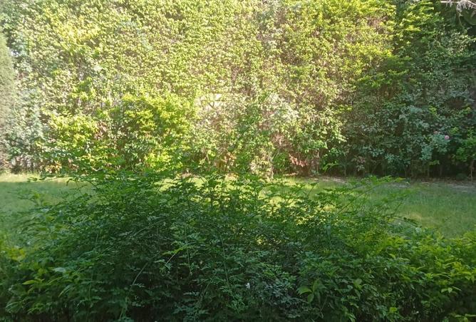 99810585 - Property Main Image