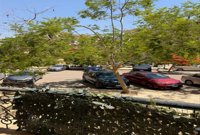 80000836 - صورة العقار 2