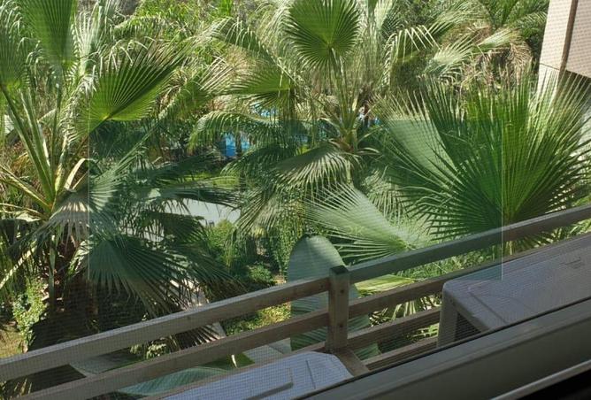 52186864 - Property Image 3