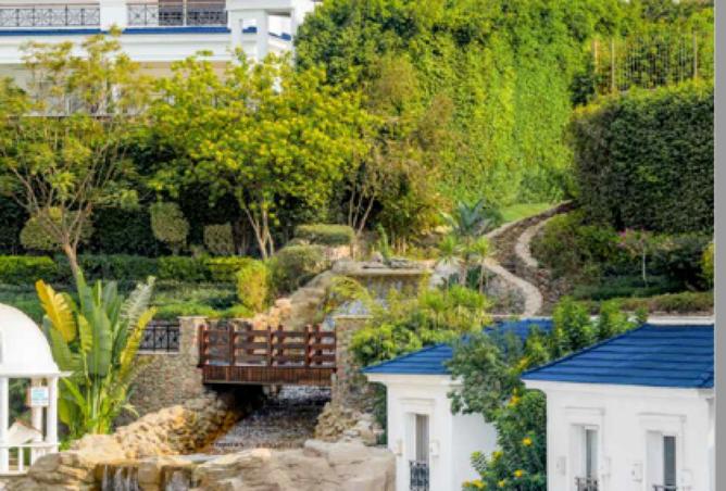 63389698 - صورة العقار 2