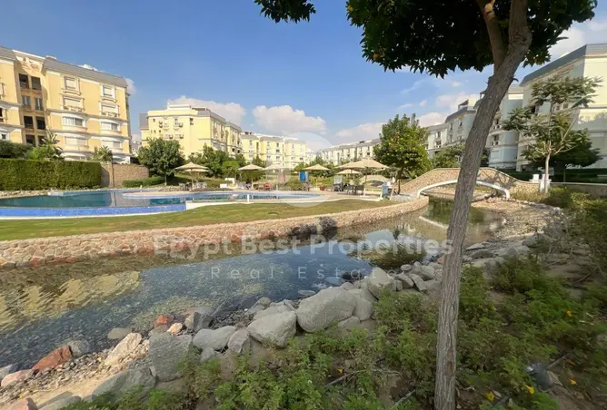 116755424 - Property Image 3