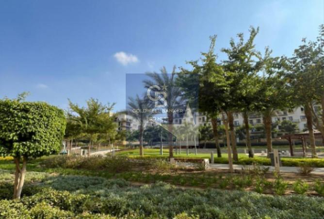 8463585 - صورة العقار 3