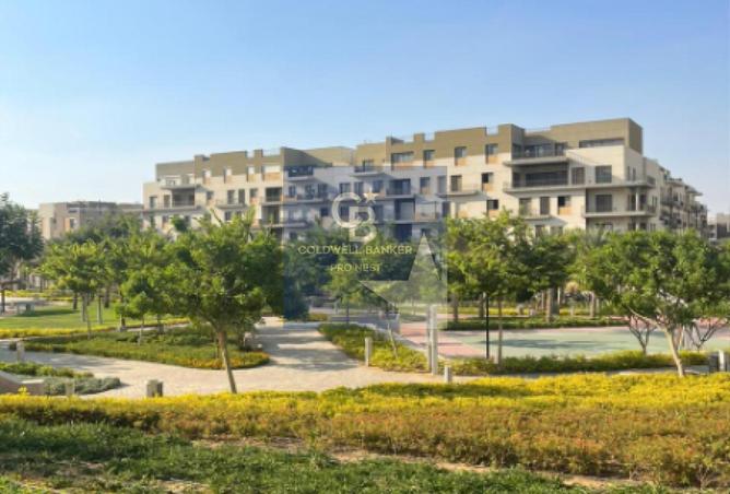 8463585 - الصورة الرئيسية للعقار