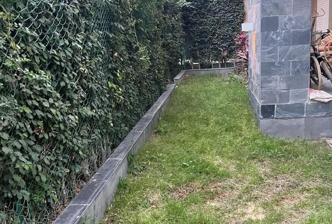 52716993 - صورة العقار 3