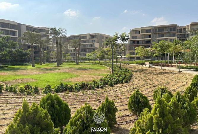 103485264 - صورة العقار 3