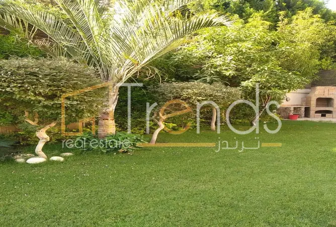 113257096 - صورة العقار 2