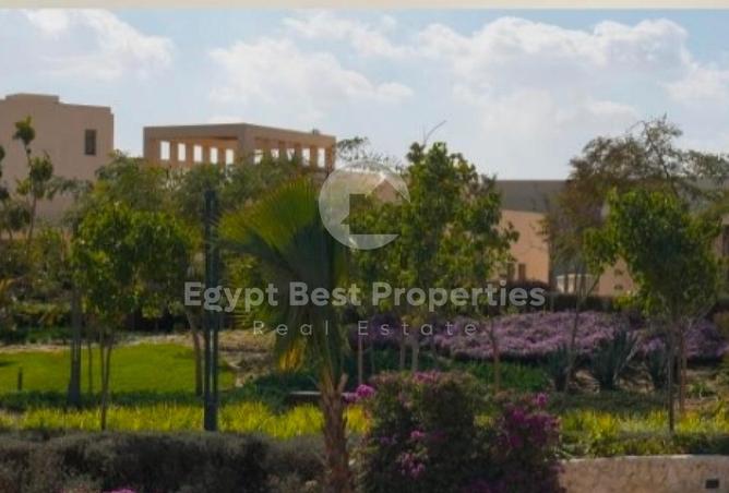 66698179 - Property Image 3