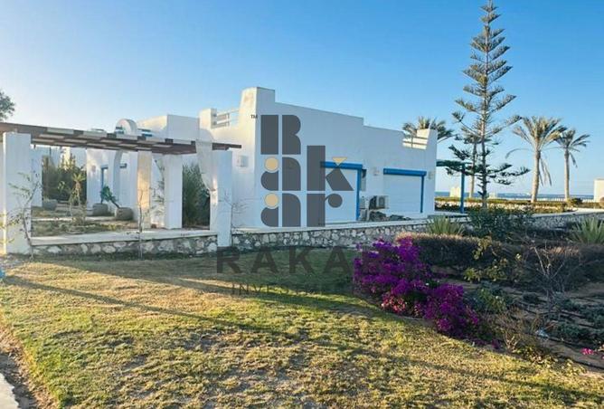 55510051 - Property Image 2