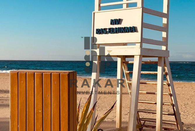 55510051 - Property Image 3