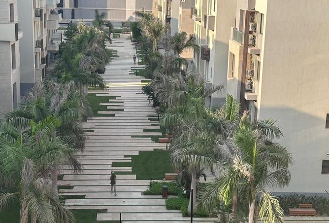 8633241 - Property Image 3