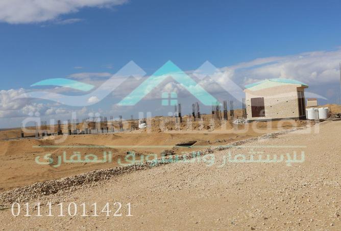 74316742 - Property Image 3